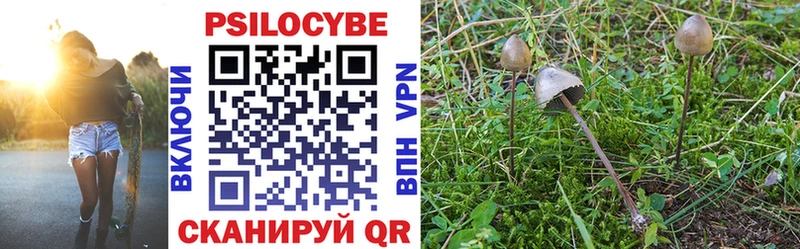 Галлюциногенные грибы Psilocybine cubensis  Кирсанов 
