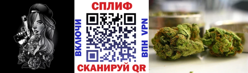 MEGA как зайти  продажа наркотиков  Кирсанов  Марихуана конопля 